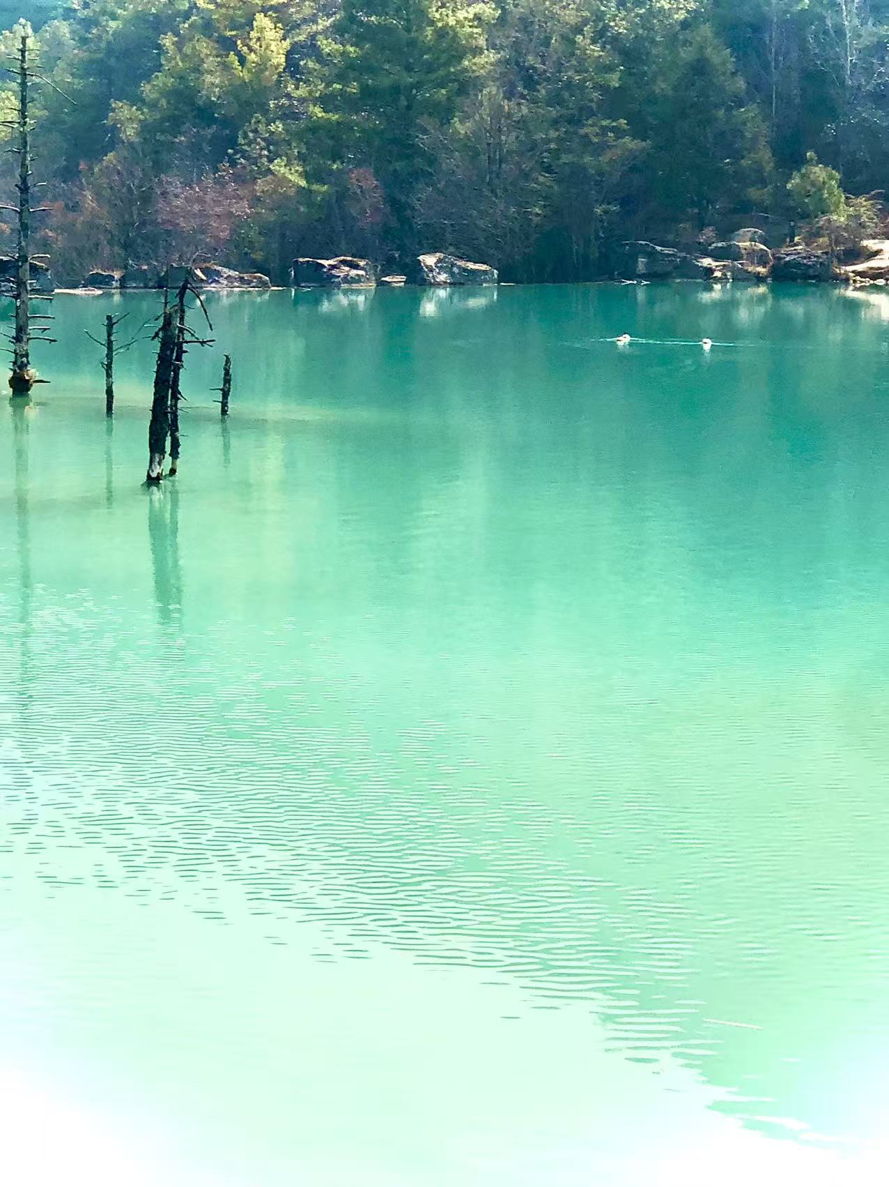 锡锡拍摄的旅行与自然风景 10