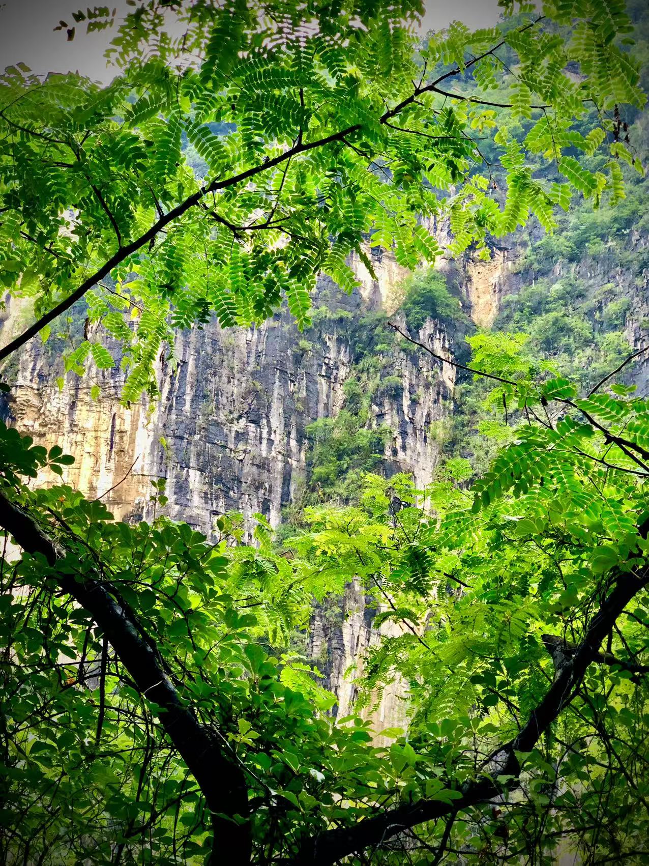 锡锡拍摄的旅行与自然风景 06